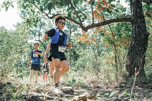 BIB: 
                            <button type="button" onclick="openModal(26097750)" class="btn btn-primary btn-sm float-right btn-popup" data-toggle="modal" data-target=".modal-high-quality">
                        <i class="fas fa-shopping-cart"></i> Add to Cart
                    </button>
                                            <button type="button" onclick="isThisMe(26097750, true)" class="btn btn-success btn-sm float-right btn-popup btn-isme hidden" data-toggle="tooltip" data-placement="bottom" title="นี่คือรูปของคุณใช่ไหม คลิกที่นี่เพื่อเอาเข้าอัลบั้ม">
                        <i class="fas fa-plus"></i> Add to album
                    </button>
                    <button type="button" onclick="isThisMe(26097750, false)" class="btn btn-warning btn-sm float-right btn-popup btn-isnotme hidden">
                        <i class="fas fa-ban"></i> Remove from album
                    </button>